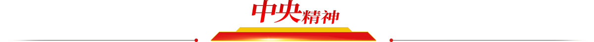 中央精神